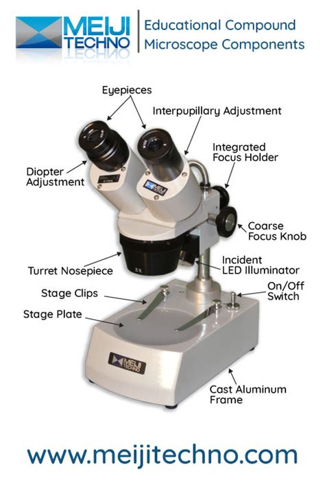 Microscope Terminology 的图像结果