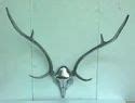 Artificial Animal Skull & Taxidermy - Large Metal Deer Skull Head ...