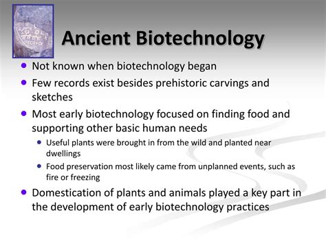 Ancient Biotechnology 的图像结果