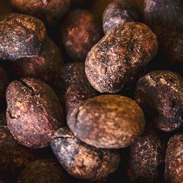 Shea Verbena Hands & Body Liquid Soap Refill, L'Occitane India