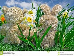 Image result for Bear and Bunny Cherry Blossom