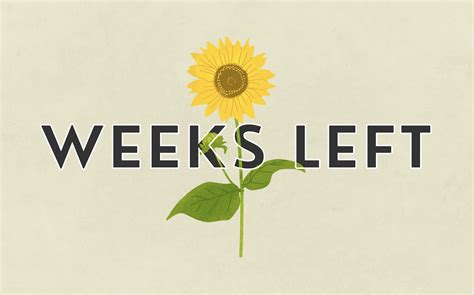 How Many Weeks Left in the Year? Weeks Left Table 2025