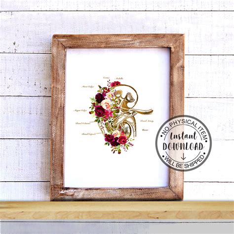 Buy Human Kidney Anatomy Art, Medical Art Print, Doctor Office Art ...