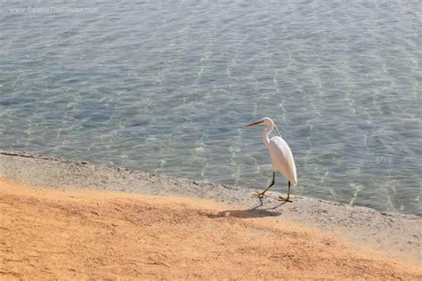 Oh, the places we will go!: Is it safe to visit Egypt?