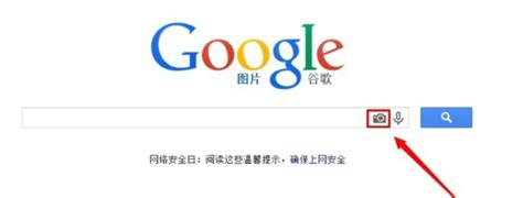 谷歌搜索引擎入口 谷歌搜索引擎入口网址-速彩下载站