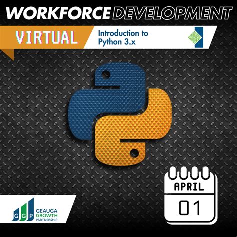 Python 3 X 的图像结果