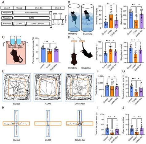Baicalin Ameliorates Depression-like Behaviors via Inhibiting ...
