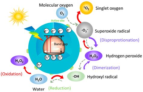New Strategy for Microbial Corrosion Protection: Photocatalytic ...