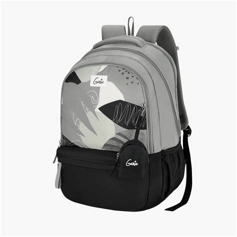 Buy Genie Lucy 40L Grey Laptop Backpack Online