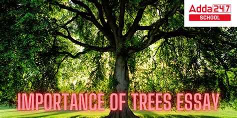 Importance of Trees Essay in English for Class 3 [150-500 Words]