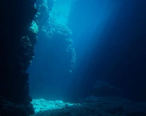 WE SHALL SEA SCUBA DIVE (2026) All You Need to Know BEFORE You Go (with ...