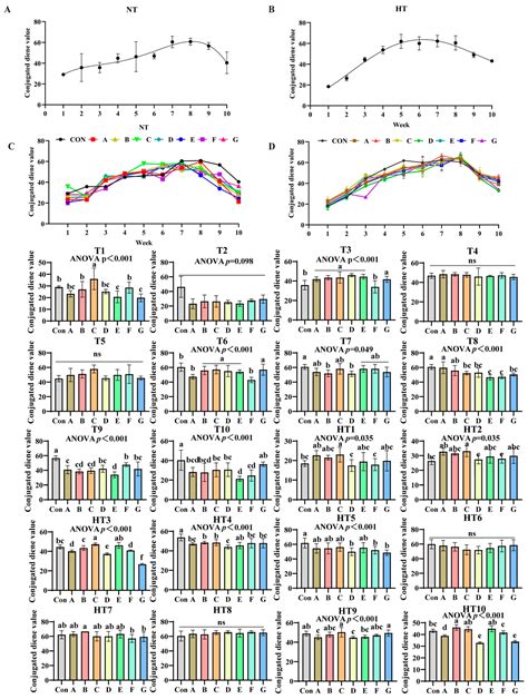 Synergistic Effects of Antioxidant Blends: A Comparative Study on ...
