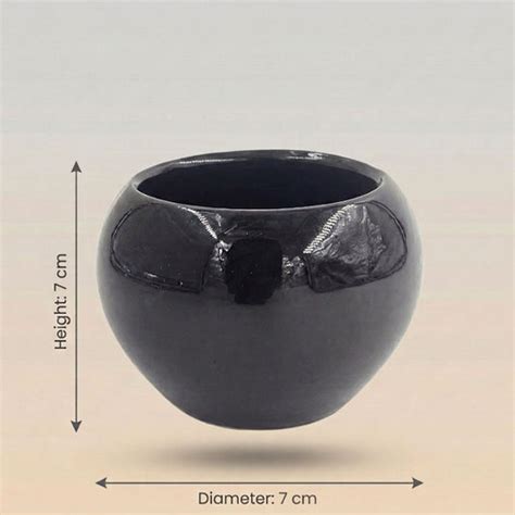 Ceramic Glossy Black Globe Shaped Pot - Indoor Planter