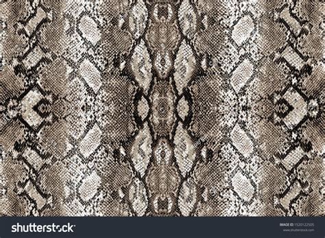 Image result for Python Snake Skin Pattern