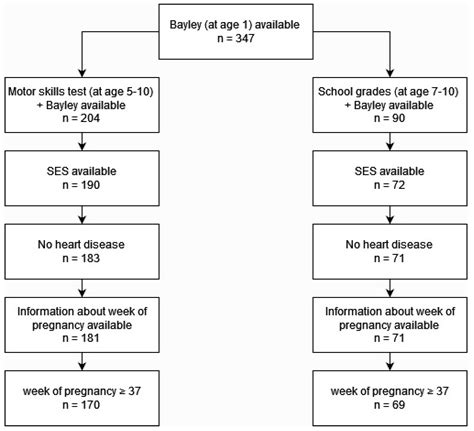Are the Results of the Bayley Scales of Infant and Toddler Development ...