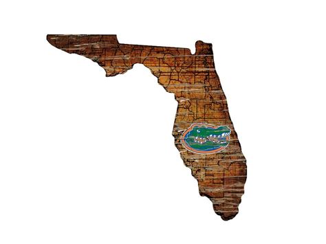 Buy Fan Creations Sign University of Florida Cutout (State), Multi ...