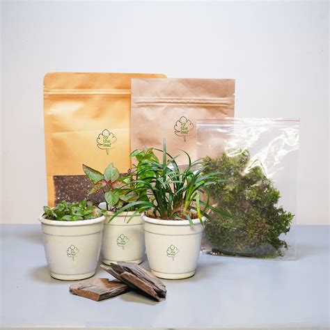 DIY Terrarium Kit 2.0 – bytheleaf