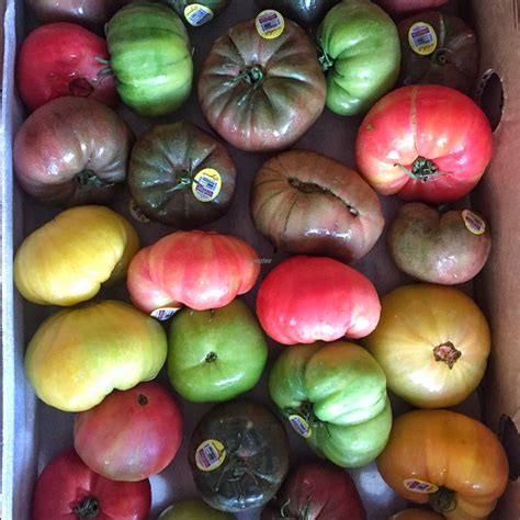 Coconut Grove Farmer's Market - Miami Florida Farmer's Market - HappyCow