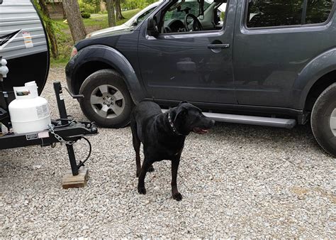 Bill Monroe Memorial Music Park & Campground Camping | The Dyrt