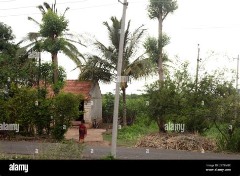 Village 的图像结果