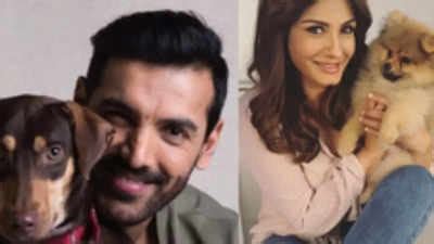 Pet parents Raveena, John Abraham, Priyamani, others share wisdom on a ...