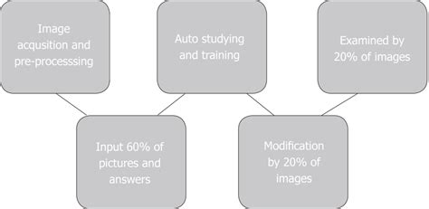 Workflow of Deep Learning Algorithm 的图像结果