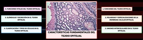 Image result for Informational Data Example