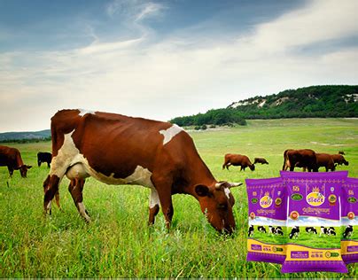 Cow Fodder 的图像结果