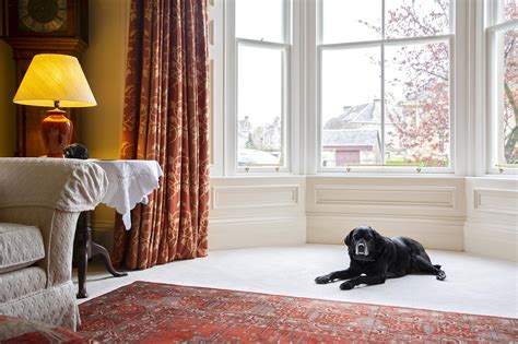 MWM Matt Window Mate on LinkedIn: Stained glass timber double-glazed windows in Glasgow, MWM ...