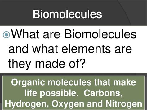 Image result for Biomolecules Explained
