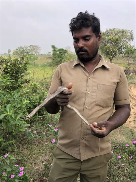 The Madras Crocodile Bank Trust & Centre for Herpetology