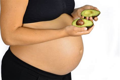 manfaat buah alpukat bagi ibu hamil trimester pertama