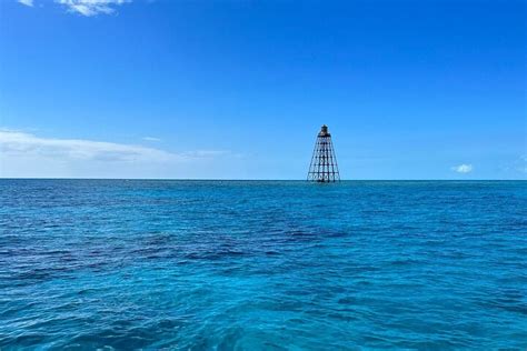 SALTY PAWS KEY WEST ISLAND HOP SANDBAR & REEF EXPLORATION (2026) All ...