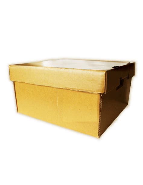 Bulk Box 的图像结果