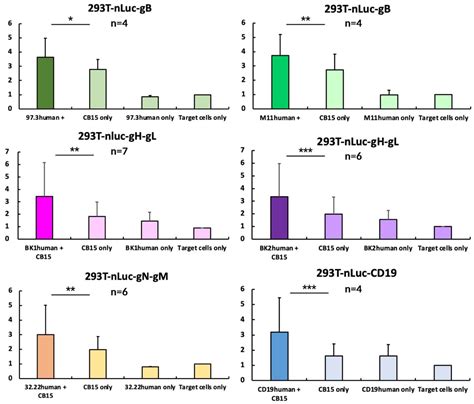 Evaluation of Bispecific T-Cell Engagers Targeting Murine Cytomegalovirus