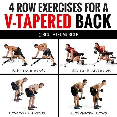 Dumbbells Back Exercises - images search best