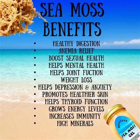 16 OZ Sea Moss Gel -Increase Immunity -Promotes Healthier Skin -Helps ...