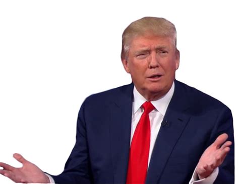 Donald Trump PNG, Donald Trump Transparent Background - FreeIconsPNG