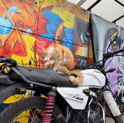 Jonah Almanzar | Meddling around in Medellín | Instagram