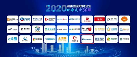 湖南医疗信息化企业排行第一！创星入选2020年湖南省互联网企业综合实力30强_成长型