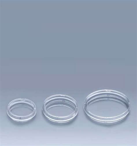 Cell 2D 的图像结果