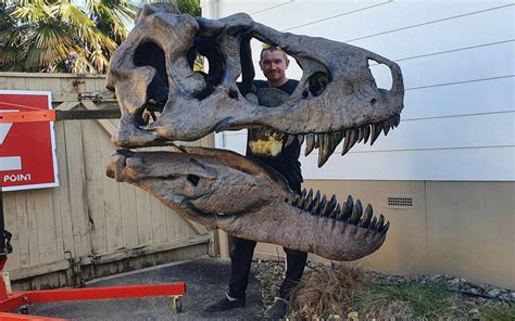 Tyrannosaurus Size
