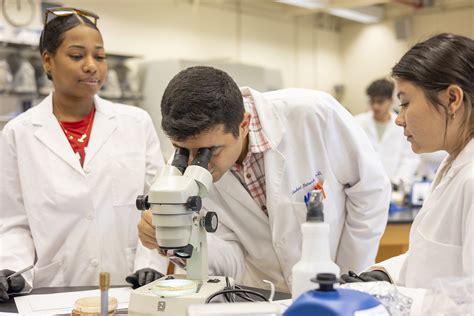 UTSA professor seeking local honey to rival overseas medicinal varieties