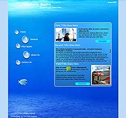 Flash Templates 的图像结果