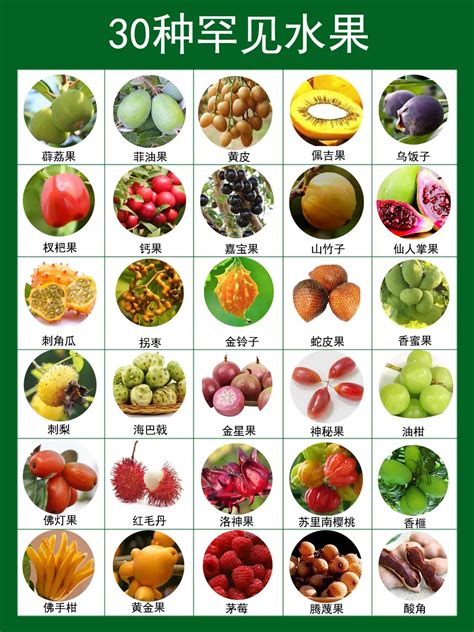 云南水果,100种水果名字与图片,云南的水果名字和图片_大山谷图库