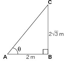 NCERT Exemplar: Introduction to Trigonometry - Notes | Study ...