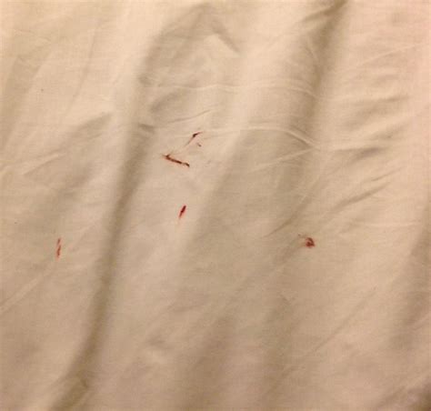 PINEVIEW INN (Rocksprings) - Inn Reviews & Photos - Tripadvisor