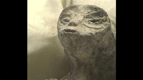 Image result for Alien Movie Pregnancy Women