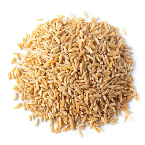 Organic KAMUT® Khorasan Wheat Berries Buy in Bulk from Food to Live