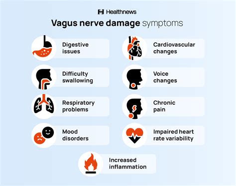 Vagus Nerve Damage Symptoms: What Are They? | Healthnews